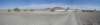 diatom1_small.jpg