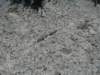 p1010015_small.jpg