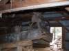 dscf0418_small.jpg