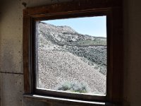 DSC 1981