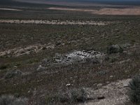 DSC 2054