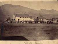 319  From UNR Special Collections