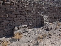 DSC 8431  September 2017