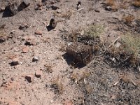 DSC 8434  September 2017