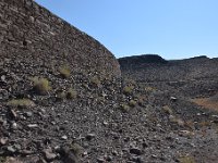 DSC 8455  September 2017