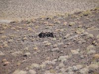 DSC 8473  September 2017