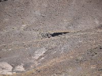 DSC 8479  September 2017