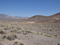 DSC 8482  September 2017