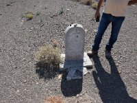 DSC 8485  September 2017