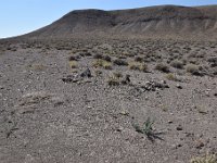 DSC 8488  September 2017