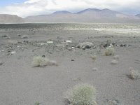 P1010002  April 2005