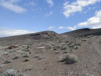 bP1010005  April 2005