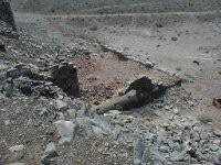 bP1010011  April 2005