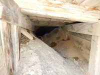 DSCN4525