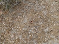 DSCN4547