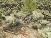 DSCN6587  Becker Canyon