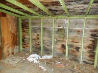 DSCN6595  Becker Canyon