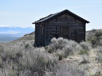 DSC 4168