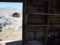 DSC 4184