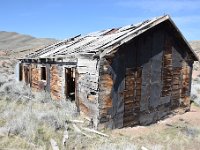 DSC 4187
