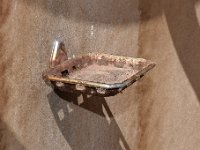 DSC 4193