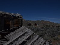 DSC 4240