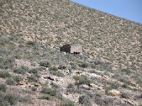 DSC 4323