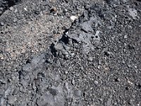 120  Lots of this laying on the ground.