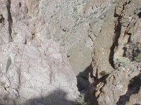 P1010133
