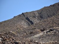 DSC 8509  2017