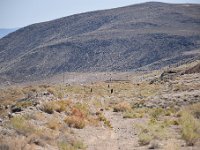 DSC 8536  2017