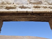 DSC 8596  2017