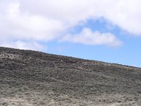 P1010016  2005