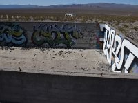 DSC 1777