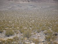 DSC 1822