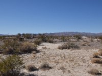 DSC 1828