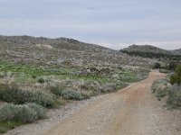 DSC 3652