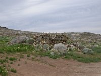 DSC 3655