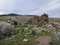 DSC 3658