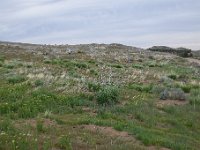 DSC 3667