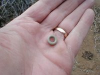 P1010039  Historical O-ring