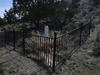 DSC 2386  Soeone put up a nice fence recently