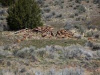 DSC 2388 89 90 tonemapped