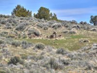 DSC 2397 8 9 tonemapped