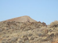 DSCF0890