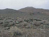 P1010014