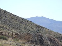 DSCF0095