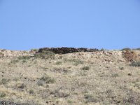 DSCF0097