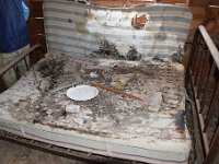 DSC 3424  Eureka Mercury Mine