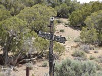 DSC 3481  Lots of power poles up here